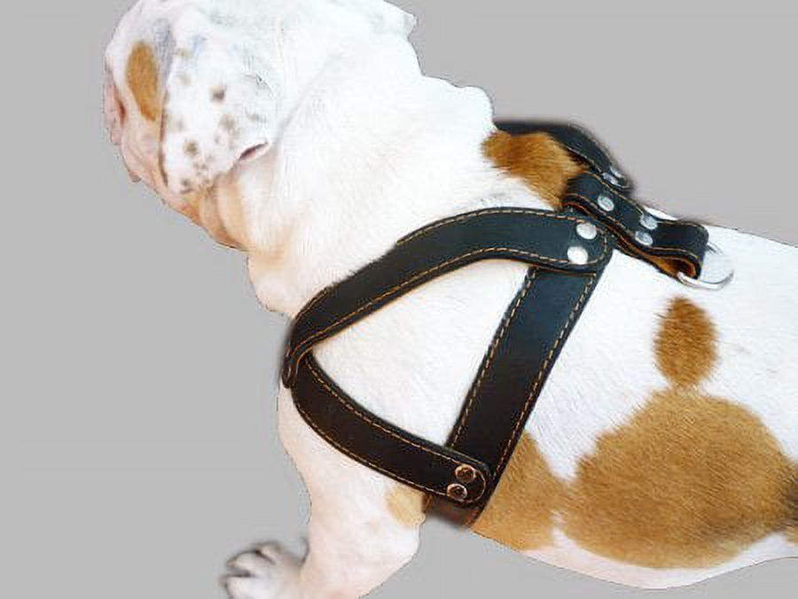 Black Leather Dog Harness, Large. 28'-34' Chest, 1.5' Wide Straps, Rottweiler Bulldog