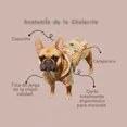 thumbnail image 2 of Sudadera De Jerga Afelpada Para Mascota (4, 5, 6), 2 of 4
