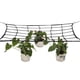 thumbnail image 3 of Red De Cultivo Elástica De 3X3 Pies, Red De Cultivo Flexible, Red De Enrejado, Tienda De Cultivo, Espacios De Cultivo De Plantas, Herramientas De Jardín sonducket HA035087-00, 3 of 6
