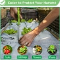 thumbnail image 6 of Antifreeze Floating Row Cover 8.2'×24' Non-woven Fabric Plant Cover Greenhouse Frost Protection, 6 of 12