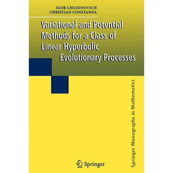 Springer Monographs in Mathematics Variational and Potential Methods for a Class of Linear Hyperbolic Evolutionary Processes, (Paperback)