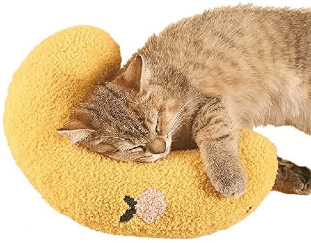 cat donut pillow