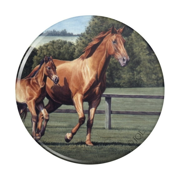 Mother Horse and Foal Baby Fresh Start Kitchen Refrigerator Locker Button Magnet
