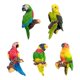 thumbnail image 1 of 5pcs Fridge Magnets Birds Design Decal Art Stickers Room Magnetic Home Decor, 1 of 3