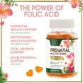 thumbnail image 5 of Prenatal Vitamins for Women – Complete Pregnancy Multivitamin - Folic Acid, Omega 3 DHA, Choline, Vitamin D – Essential Support for Mom's & Baby Brain Development - Tasty Orange Flavor - 60 Gummies, 5 of 9