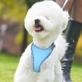 thumbnail image 2 of Dog Harness For Small Medium Large Dogs No Pull Puppy Harness And Leash Set Dog Harness For Walking Running Training Small Dog Harness Medium Dog Harness Cat Steps Cat Steps for Older Cats Cat Leg, 2 of 9