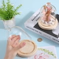 thumbnail image 3 of Bell Jar Dome 113x161mm Glass Cloche with Wood Base Glass Dome Bell Jar Clear Glass Jars Cloche Display Case Cloche Small Glass Domes for Wedding Home Plants Christmas Party Favor Decor Multi-color, 3 of 6
