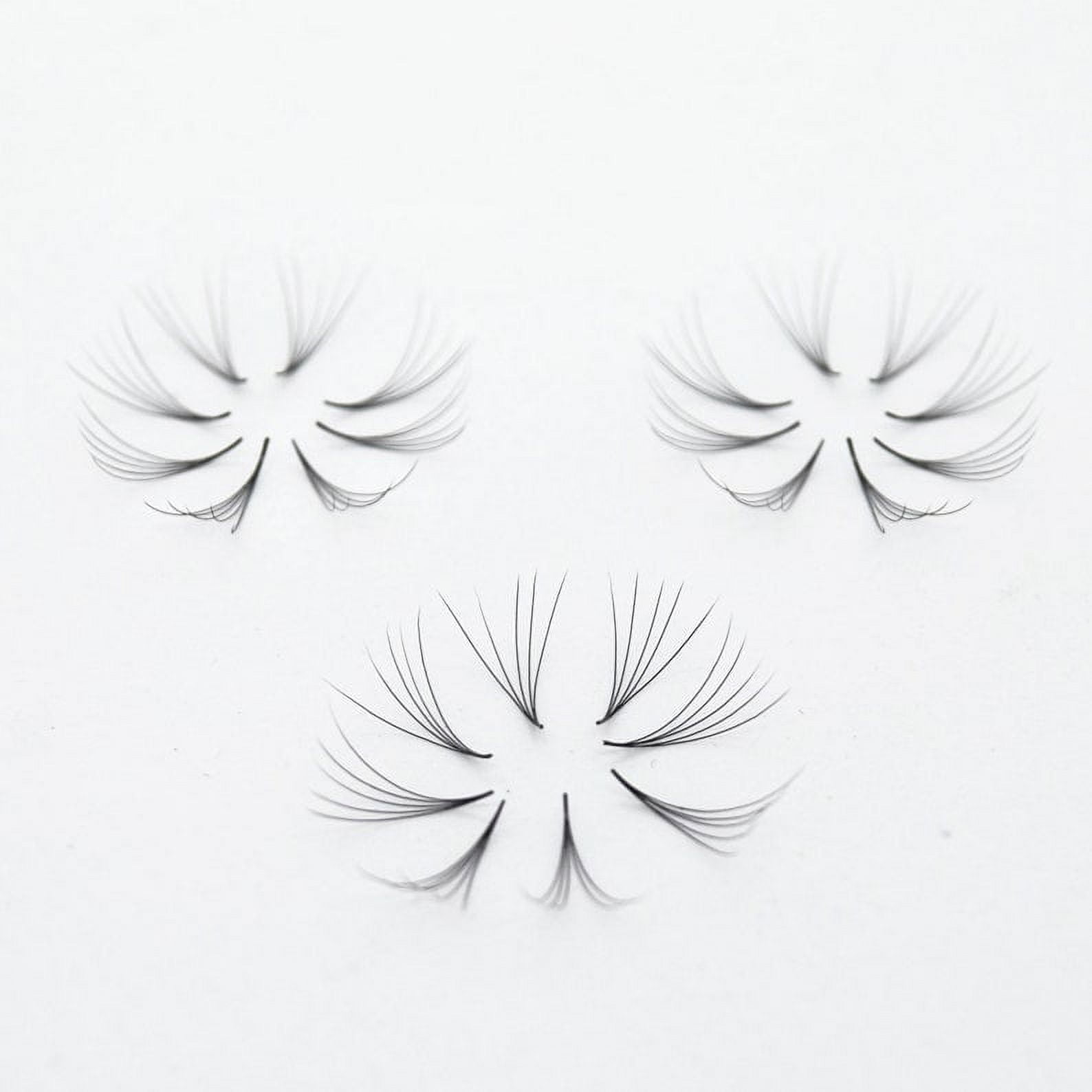 5D Curl D Lashes. 1000 Premade Volume Fans. Eyelash Extension. Handmade and Gorgeously Crafted!