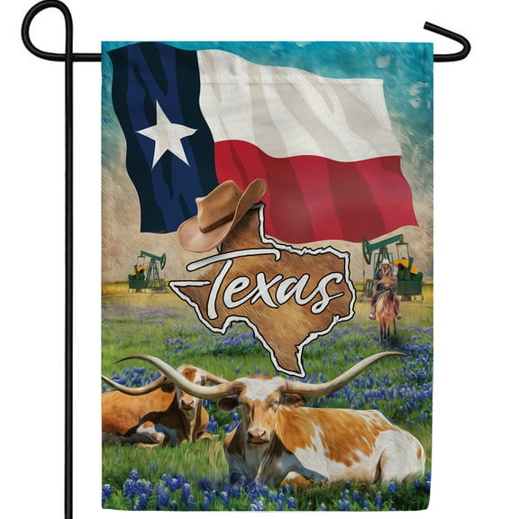 America Forever Texas State Garden Flag- 12.5 x 18 inches- Texas Longhorns, Blue Bonnets, Cowboys, and Oil Fields State USA Regional Yard Outdoor Decorative Double Sided Flag