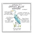 thumbnail image 4 of Stupell Industries Great Blue Heron Bird Learning Diagram Wildlife Facts Graphic Art White Framed Art Print Wall Art, Design by Dishique, 4 of 5