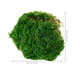 thumbnail image 4 of Césped de musgo simulado, musgo artificial, liquen, estera de musgo falso, decoración de musgo simulado, 4 of 7