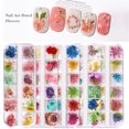 thumbnail image 3 of 1 caja de flores secas mixtas para decoración de uñas, floral natural. yeacher  Calcomanías para uñas, 3 of 7