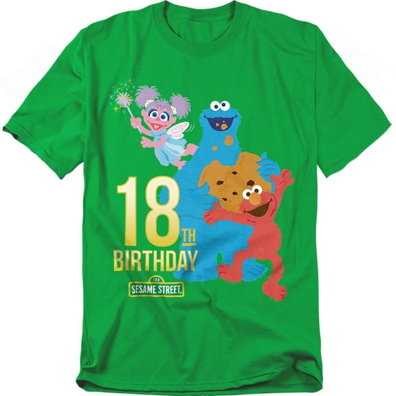 Sesame Street T-Shirt 18Th Birthday Unisex Graphic Tee For Men & Women