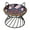 Black, variant on Raised Ceramic Cat Food Bowl - Elevated Cat Dish with Anti Slip Metal Stand - Wide Shallow Cat Bowl Whisker Friendly - Small Cat Plate - Cute Cat Feeding Bowls - Microwave and Dishwasher Safe - 8 oz