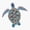1pcs, variant on Colourful Sea Turtle Design Sticker
