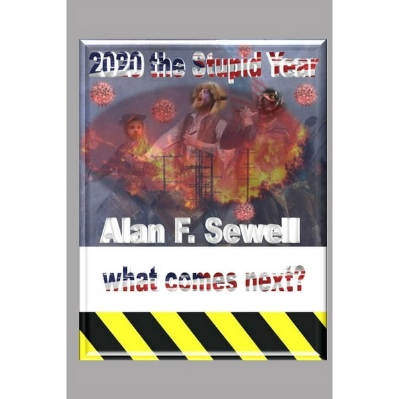 2020 The Stupid Year: A Historical and Forward-Looking Perspective (Paperback)