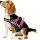 thumbnail image 4 of Premium Dog Vest Harness For Service Dogs - Comfortably Padded & Customizable!, 4 of 5