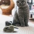 thumbnail image 3 of DOLITY Self-steering Cat Toy, Portable Vivid Electric Interactive Simulation for Dogs Puppy Biting Kitty , Mouse, 3 of 8