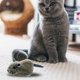 thumbnail image 3 of Juguete para gatos con dirección automática, interactivo eléctrico duradero, muñeca novedosa para Ratón Zulema Juguetes para gatos, 3 of 8