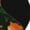 2 Black-2, variant on Cute Little Foxes Print Adult Socks for Men & Women,Calf Socks, Ankle Socks,Boots Socks,Breathable Casual Sock,Unisex Crew Socks