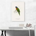 thumbnail image 2 of ARTCANVAS Scarlet-Collared Parakeet Canvas Art Print by Edward Lear - Size: 26" x 18" (0.75" Deep), 2 of 9