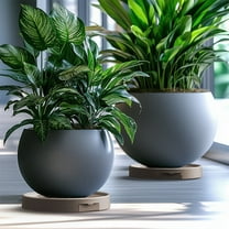 Taotanxi Round 3-in-1 Planter Caddy, Saucer,& Stand for Heavy Pots,Easy Pot Mobility Plant Caddy,Hidden Drain Reservoir to Protect Indoor Floor (Coffee, 10 Inches)