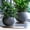 Coffee, variant on Heavy Duty Rolling greenery Caddy, Mobile Wheeled Flower Pot Tray with Silent Casters, Leak-Proof Thickened Round greeneryer Saucer Base for Indoor Outdoor Use