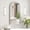 Brushed Nickel, variant on Hironpal 16" x 32" Farmhouse Recessed or Surface Mount Arched Metal Bathroom Medicine Cabinets with Mirror and 3 Adjustable Glass Shelves, Brushed Silver