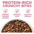 Health Healthy Kitten Dry Cat Food With Chicken - 16 Lb Bag, 100% Nutrition, No Fillers, Supports Immune System