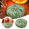thumbnail image 2 of Jumbo Foam Pumpkin 13.7 Inch - Artificial Paintable Pumpkin for Fall Decorations, Realistic Thanksgiving and Halloween Decor for Indoor Outdoor Home, Table, and Kitchen Display, 2 of 6