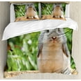 thumbnail image 1 of Bunny Duvet Cover Set King Size, Photo of a Holland Lop Rabbit Standing on a Wooden Board Green Plants at Background, 3 Piece Bedding Set with 2 Pillow Shams, Multicolor, by Ambesonne, 1 of 3
