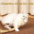 thumbnail image 3 of Natural Silvervine Stick Cat Chew Toy, 100% Natural Cat Dental Chew Sticks for Teeth Cleaning and Play, 5-Pack Cat Chewing Sticks, 3 of 5