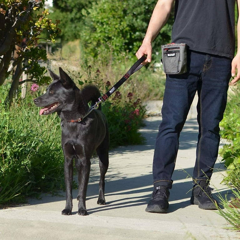 Dog Leashes For Training BTINESFUL Short Dog Leash- 18, 24 Inch