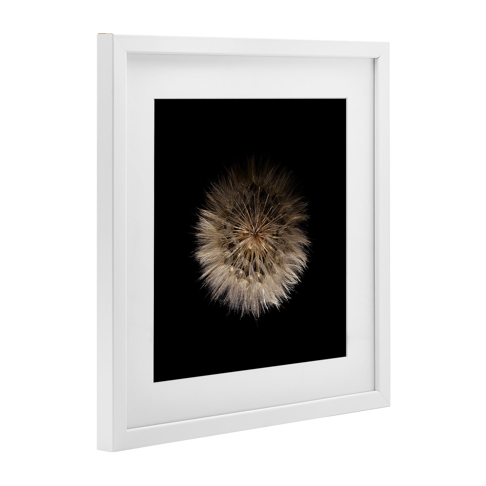 Stupell Industries Wispy Dandelion on Black White Framed Print Under Glass, design by Beth Adoette