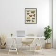 thumbnail image 2 of Stupell Industries Vintage Butterfly Study over Muted Cursive Script Vintage Painting Black framed Art Print Wall Art, 24 x 30, Design by Daphne Polselli, 2 of 7
