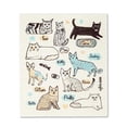 thumbnail image 3 of Unbranded Cats With Names Dishcloth, 3 of 4