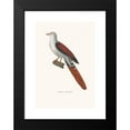thumbnail image 2 of Coenraad Jacob Temminck 14x18 Black Modern Framed Museum Art Print Titled - Colombe Reinwardt (1838), 2 of 5