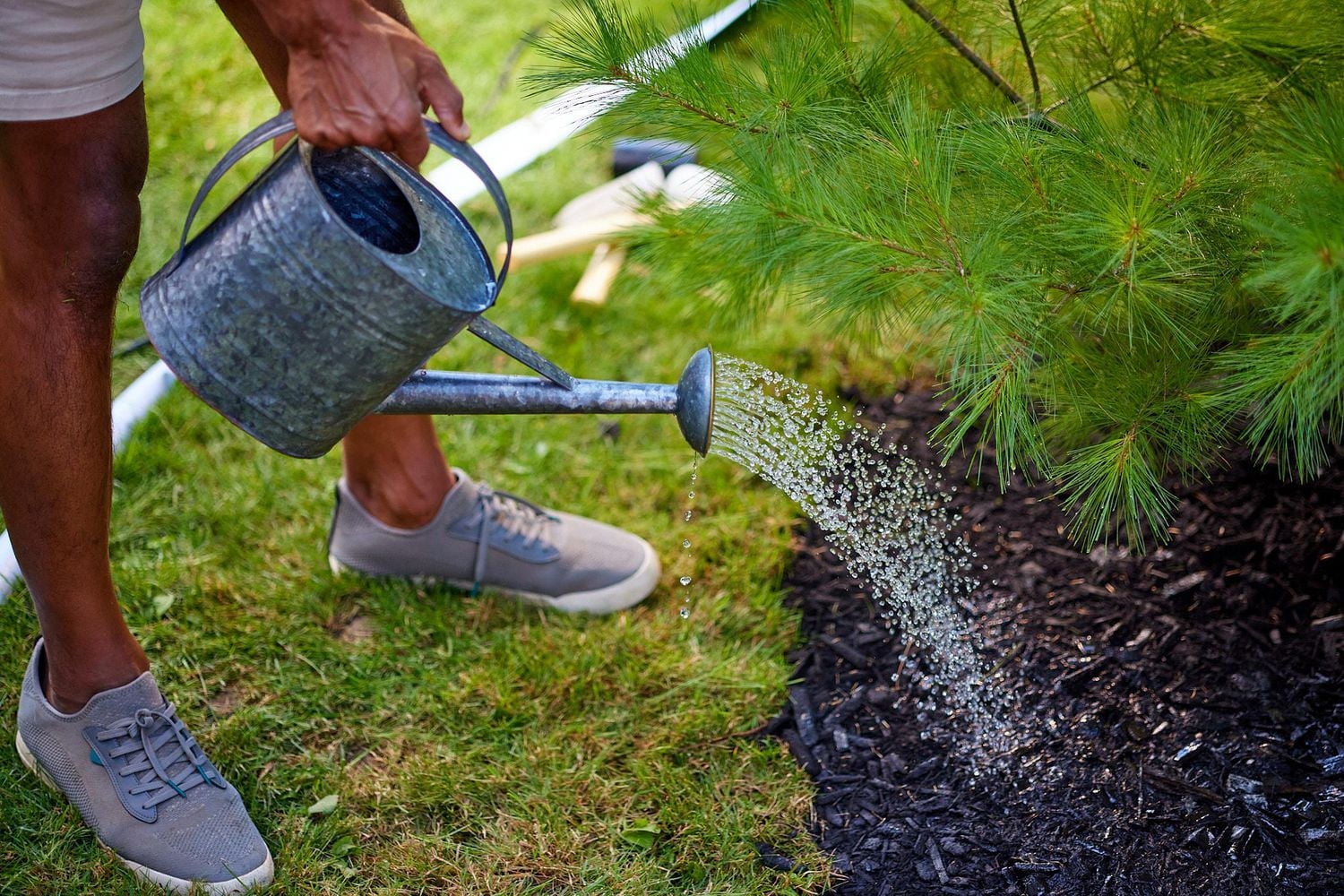 Miracle-Gro® Evergreen Plant Food Spikes 12-6-12