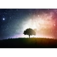 thumbnail image 2 of wall26 - a Single Tree in a Field with Beautiful Space Background - Removable Wall Mural | Self-Adhesive Large Wallpaper - 66x96 inches, 2 of 6