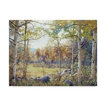 Trademark Fine Art 'Valley of the Utes Autumn' Canvas Art by Carol J Rupp