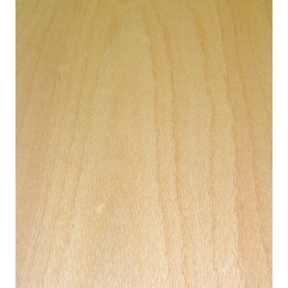 Beech Steamed Flat Cut wood veneer sheet 24" x 96" on paper backer 1/40" thick
