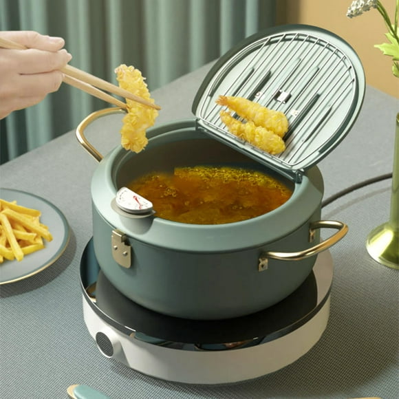 3.5L Deep Fryer Pot with A Thermometer, Tempura Fryer Pot with Lid and Oil Drainer Rack for Kitchen Cooking