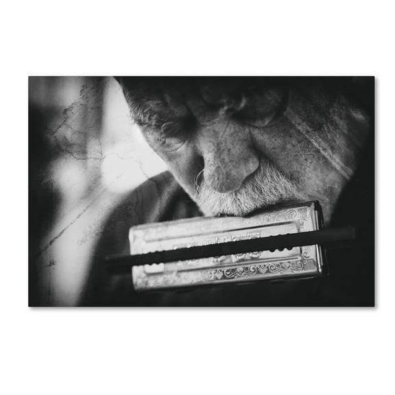 Trademark Fine Art 'Wolf With Harmonica' Canvas Art by Roswitha Schleicher Schwarz