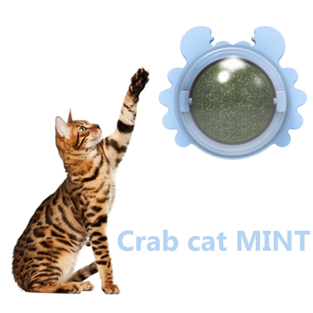 rotating cat mint ball