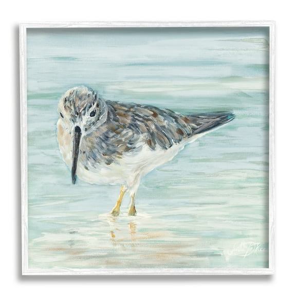 Stupell Industries Nautical Sandpiper Shallow Beach Waters Traditional Bird, 17 x 17, Design by Julie DeRice