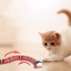 thumbnail image 3 of 1 juguete de serpiente para gatos, recargable para detección inteligente de serpientes, detección automática de obstáculos y escape, juguetes eléctricos en forma de s realistas para gatos, 3 of 5