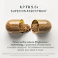 thumbnail image 4 of Prominent Nutrition Berberine Phytosome - Up to 9.6x Superior Absorption - Standardized Berberine for Digestive, Gut & Heart Health Support - Non-GMO, Vegan & Gluten-Free - 60 Capsules (60 Servings), 4 of 9
