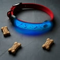thumbnail image 5 of Nite Ize NiteDog Rechargeable LED Collar Cover - Universal Fit Light Up Dog Collar Cover - Disc-O Select, 5 of 8