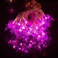 thumbnail image 2 of Paquete de 2 luces de cadena de araña - 30 luces de araña moradas 11.5 pies 8 modos - Luces de cadena de Halloween, kaili Sencillez, 2 of 5