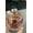 Cow, variant on Animal Themed Lighted 3D Fall Ball Ornament, Clear Globe Hanging Decoration, Ornament for Christmas Tree, Home, Holiday Party Display (Reindeer, 3'')
